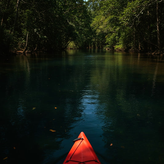 Kalimantan’s Embrace